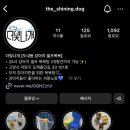 더빛나개 이미지