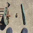 당진호스릴-15 | 고압분무기 호스릴 정원 물주기 편하게 쓰는 법