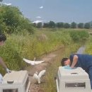 자연에 품 이미지