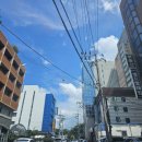 연동공원 이미지