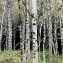 장강실업 이미지