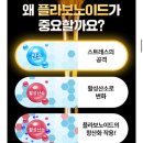 진온누리약국 이미지