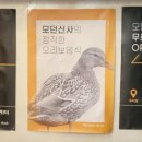 여헌로3길-2 이미지