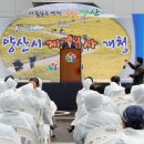 양산시2청사 티스토리