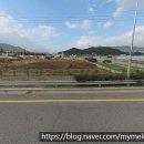 (주)온나라부동산중개법인 이미지