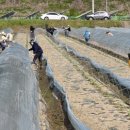 진안읍행정복지센터 이미지