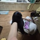 인견청년 | 여름너무더워