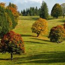 공감심리상담. 행정사. 인력사무소 이미지