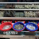 수원-1498 | 수원 조개구이 무한리필 수원조개창고 내돈내산 솔직후기