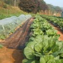 호성농장 이미지