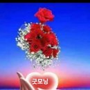 호인의료기 Daum카페
