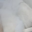 침대;소파;카펫클린수피아