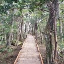 서귀포자연휴양림3 이미지