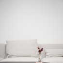 샤인우드 이미지