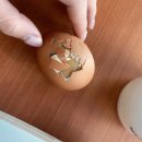 그린자동차종합정비 이미지