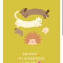솔하커피 | 밤하늘에 우리 자린 있을까 꿈꾸던 바보들은 서로의 별빛이 되어가