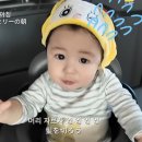 하루 이미지