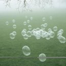 아프니카 이미지