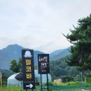 용문산관광지 야영장 | 경기 양평 캠핑장 해밀365야영장 용문산 계곡 물놀이