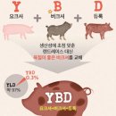 도드람한돈 이미지