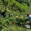 경록농장 이미지