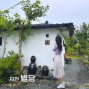 화신로8길1-26 | 대구근교 촌캉스 감성숙소 영천 자천별당 개별바베큐 후기