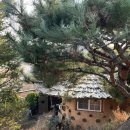 두꺼비흙집 이미지