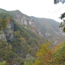 산성골 Daum카페