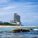 송지호 모네블루 펜션 이미지