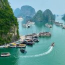 신흥자원 이미지