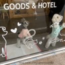 애니원애견미용 이미지