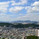 바다 어울림 이미지