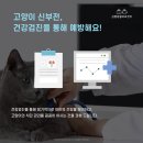 금릉동물의료센터 네이버블로그