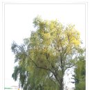 후포다방 - 49002 | 후포다방