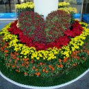 여수시민회관 이미지