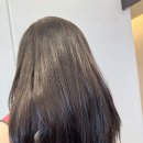 보그 | 대전 1등 스파 도룡동 보그헤어 찐 후기