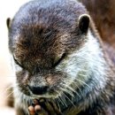 국립일제강제동원역사관 이미지