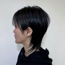 댕댕이 머리하는 날 | 머리 하기 좋은 날, 여기 어때요? 미금역미용실 리수헤어 방문 후기!