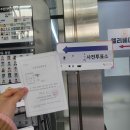 [일상]하나의 봄이 떠나갈 무렵(4월 일상/동네 동아리/돈의문박물관마을/독서 토론 모임/한국영화박물관...