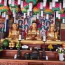 산천초목 이미지