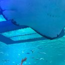 이미화뷔페 이미지