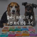 소.화식당 | 듀먼 화식 10종 솔직후기 주식으로 급여 가능한 국내 No.1 강아지화식