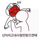 라이브초이스노래