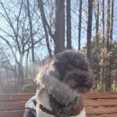 소라산자연마당 화장실 이미지