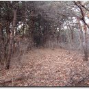 서해제일주유소 이미지