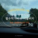 중앙초등길 | 강릉 가볼만한곳,중앙시장 먹거리 주차 꿀팁, 초등남매 머슬비치 턱걸이 미션 성공후기