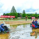 원화농장 이미지