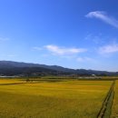 현미와누룽지 이미지