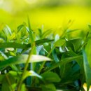 에너벨리 이미지