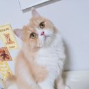누렁골 | 닥터콜업 급여후기 3차